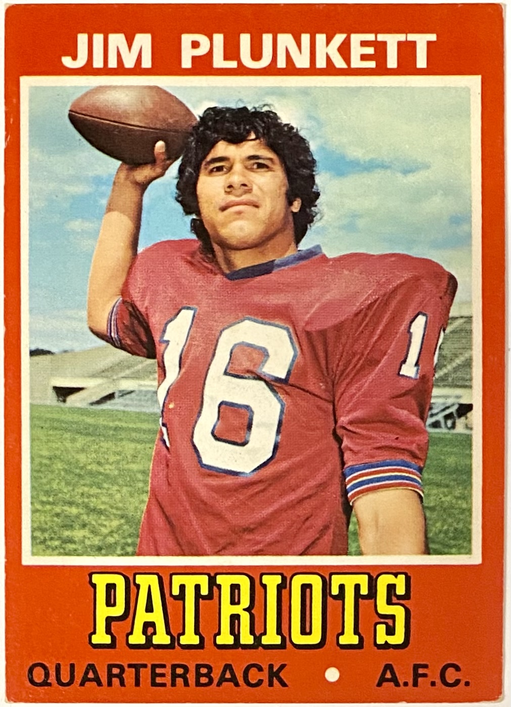 new england patriots jim plunkett