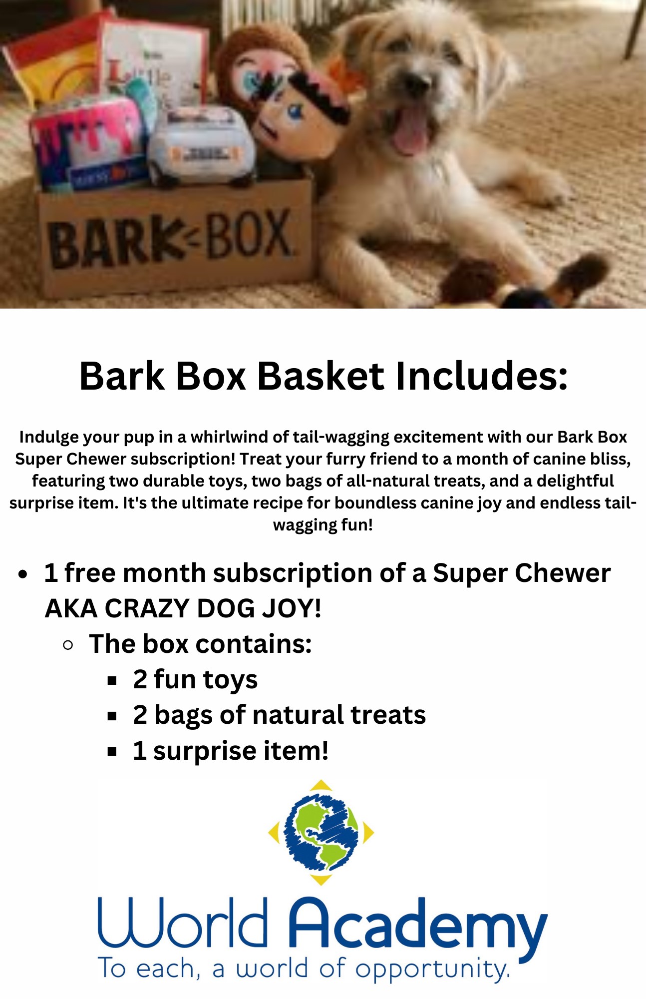 Bark Box Basket - KBK Sports