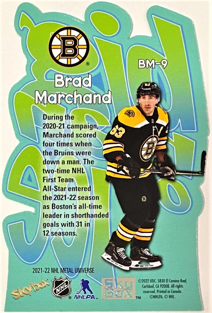 NHL Boston Bruins - Logo 21 Poster