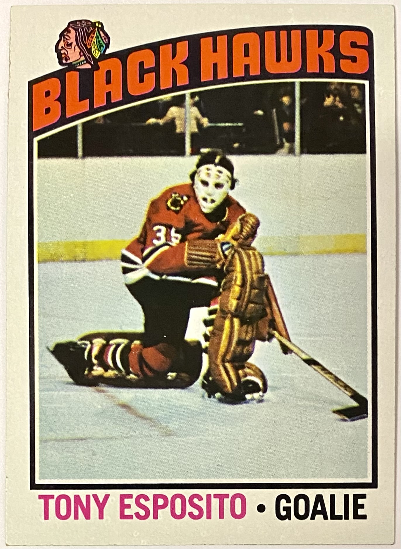 Tony Esposito 1976-77 Topps Chicago Blackhawks Hockey Card – KBK Sports