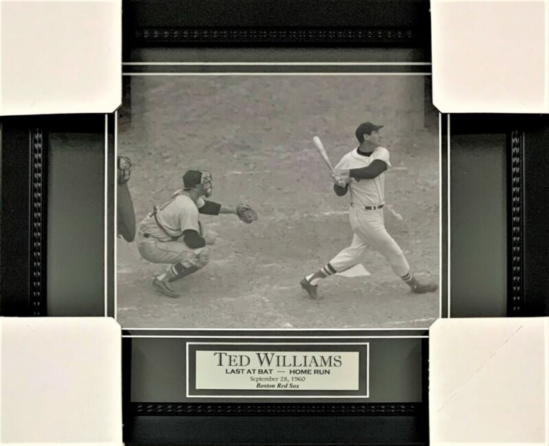 Ted Williams 