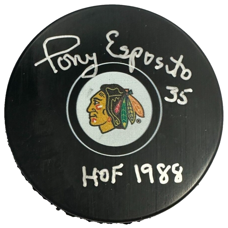 Tony Esposito Chicago Blackhawks Autographed puck sold plus card and case!